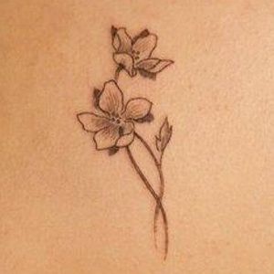 Meet your Posher, Cassy